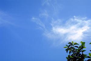 【富士葬祭 富士原田】家族葬から大規模葬儀まで安心の葬儀サービスを提供