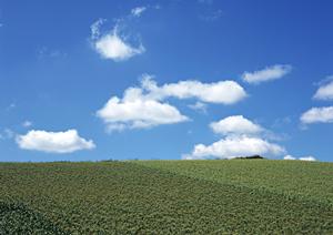 静岡県浜松市の家族葬・小規模葬儀に最適な富士葬祭佐鳴台の特徴とサービス内容