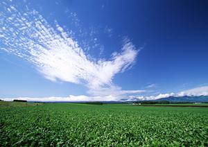 静岡県富士宮市の家族葬・少人数葬儀に最適な富士葬祭 田中町のご案内