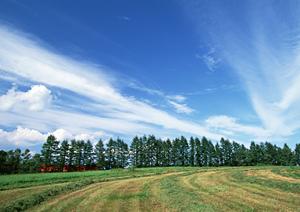 静岡県焼津市で選ぶ家族葬専門斎場：【公式】家族葬のタクセル西焼津の魅力と特徴