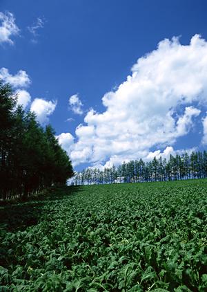 磐田市二之宮の家族葬に最適な葬儀場【富士葬祭 中泉】詳細ガイド