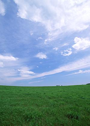 栃木県那須塩原市に新規オープン！家族葬のタクセル西朝日町の魅力と特徴