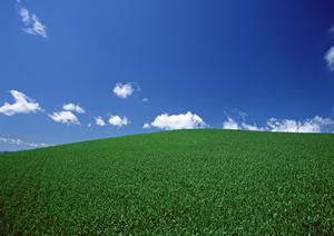 大阪にあるお寺と永代供養サービスの話