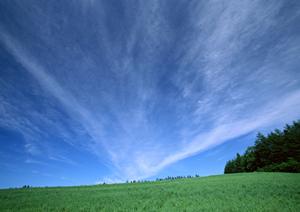 所沢での家族葬の実施と傾向について