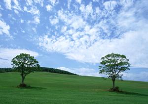 長い歴史を持つ浄土宗のお寺にある納骨堂