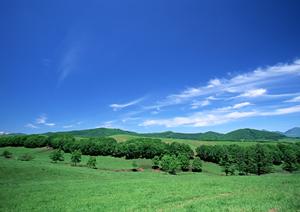 静岡県藤枝市の安心葬儀をご提供【富士葬祭 藤枝城南】｜家族葬・火葬場・斎場情報