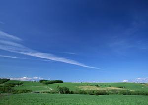 今時の家族葬はどういったものなのか