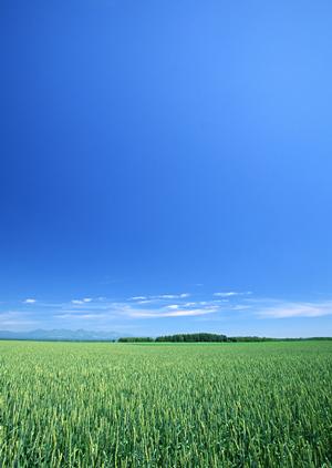 さいたま市の葬祭会社は事前相談ができる