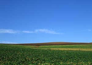 大阪市浪速区でおすすめの納骨堂について