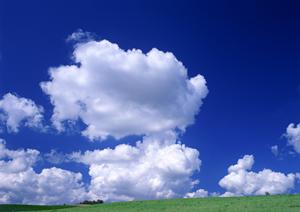 大阪市で遺品整理を検討しているなら