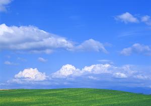 いまそう羽束師会館での葬儀と保険