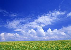 静岡市駿河区に新規オープン！家族葬のタクセル大和｜低価格で安心の家族葬専門斎場