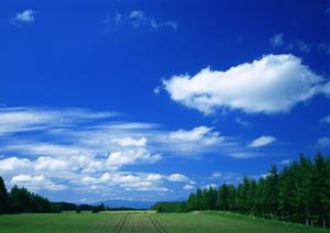 酒田市でも変化し始めた葬儀の形態