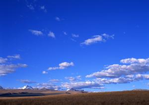 斎場・火葬場手配から葬儀後までサポート