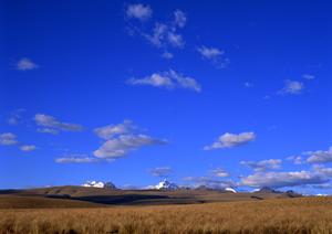 【403 Forbidden】アクセス制限の原因と対処法｜ウェブサイト運営者必見の解決策