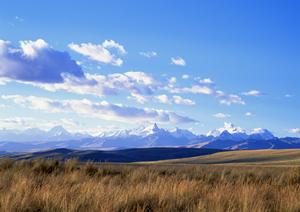 プロフェッショナルが支援する終活相談