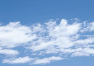 墓参りを手ぶらですることができます