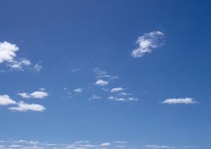 永代供養の新しい形を取り入れた寺院