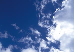 東京で永代供養ならば東長寺「結の会」へ