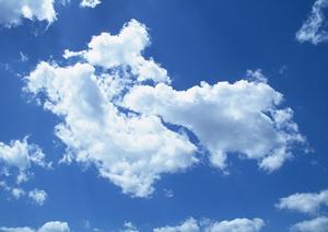 市民葬考えている鹿児島のみなさまへ