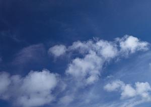 静岡県で選べる葬儀サービスと詳細ガイド｜家族葬・火葬・斎場情報