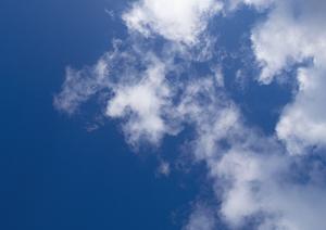 【公式】家族葬のタクセル下岡本町｜栃木県宇都宮市の信頼できる葬儀場・家族葬ホールのご案内