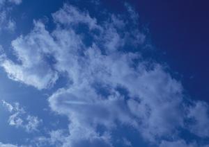 色んなプランを選べるさいたま市の会社