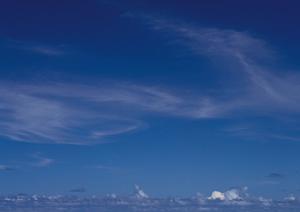 静岡県島田市における安心・信頼の家族葬を提供する富士葬祭 六合の詳細ガイド