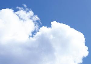 青森で選ばれる！家族葬の最新事情と成功のポイント【2025年版】