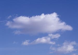 京都で永代供養墓を探している方へ