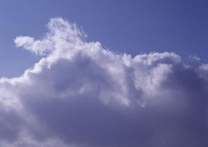 紀宝町にあるお墓を撤去するには