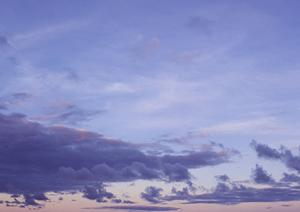 東京で納骨堂を探している場合について