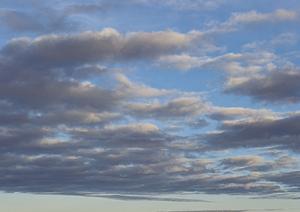 見積もり入札サービスを活用しましょう