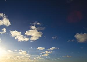 明るく開放的な樹木葬がお勧めできる理由