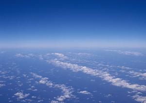 品目が充実している法事の贈り物専門店