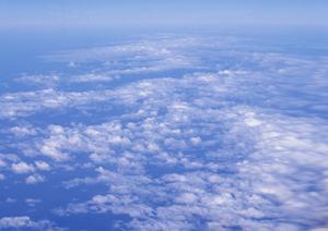 悔いのない家族葬をつくり上げてくれる葬儀社