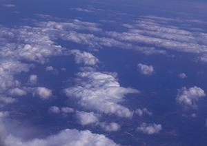 故人の希望を叶える海洋散骨を行える